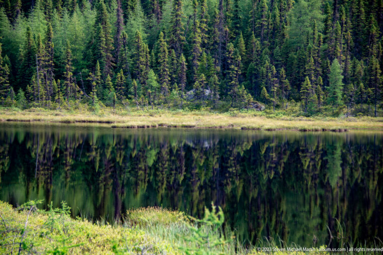 Calm pond with a narrow grassy shore and a near-symmetrical reflection of dense boreal conifers.