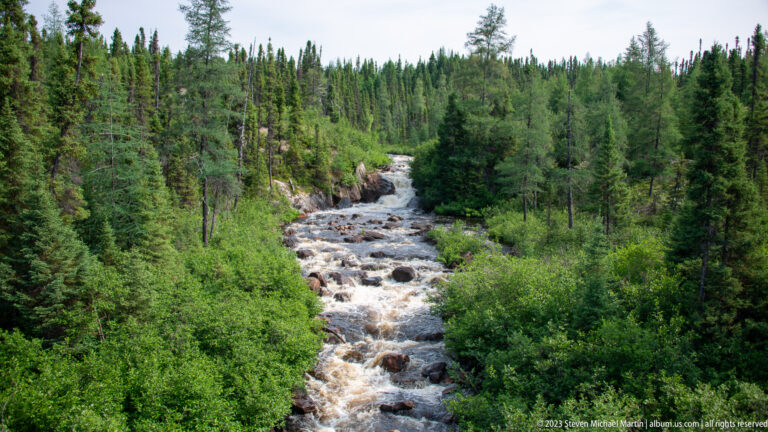 Broad whitewater river flowing over boulders between dense green shrubs and conifer forest.