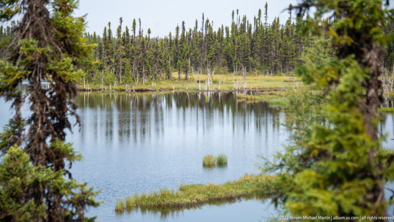 Small boreal pond framed by conifer branches, with grassy islets and spruce reflected along the far shore.