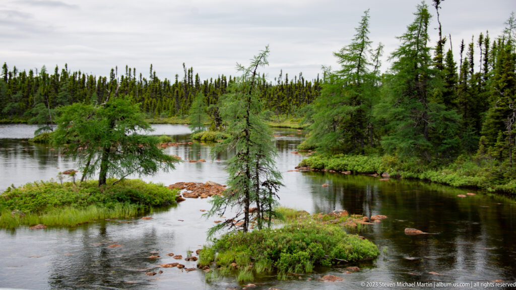 Calm pond with small grassy and rocky islets, scattered spruce trees, and dense conifer forest beyond.