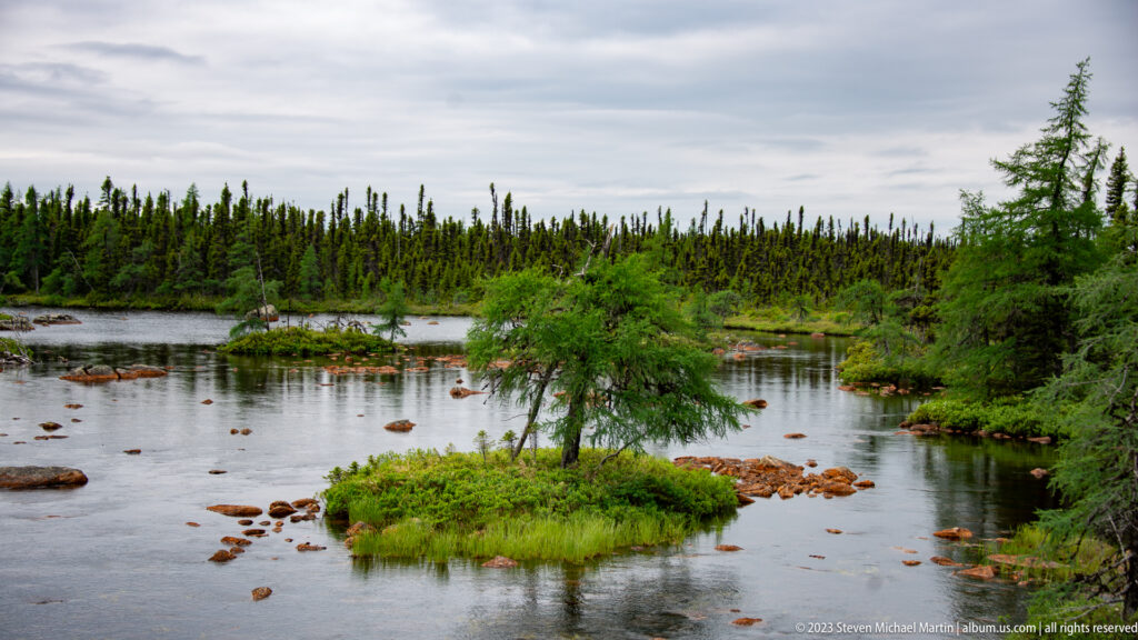 Small grassy island with a leaning spruce in shallow dark water, surrounded by rocks and boreal forest.