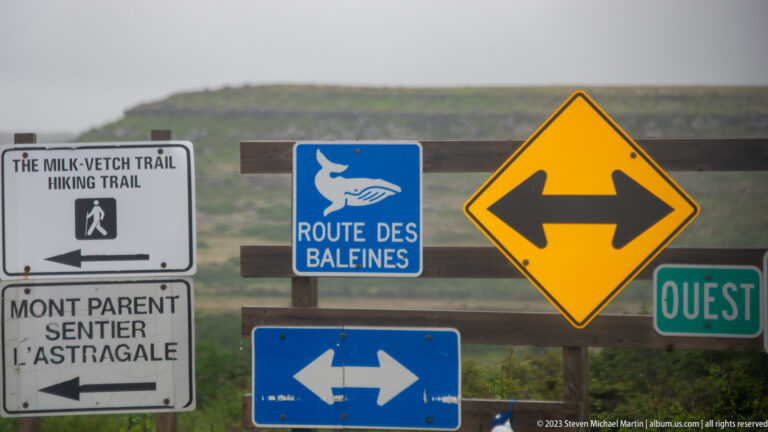 Cluster of French and English directional signs, including Route des Baleines and Milk-Vetch Trail, at a junction.