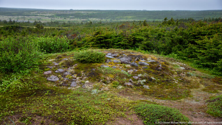Low rocky mound covered with moss and shrubs amid dense spruce and coastal vegetation.
