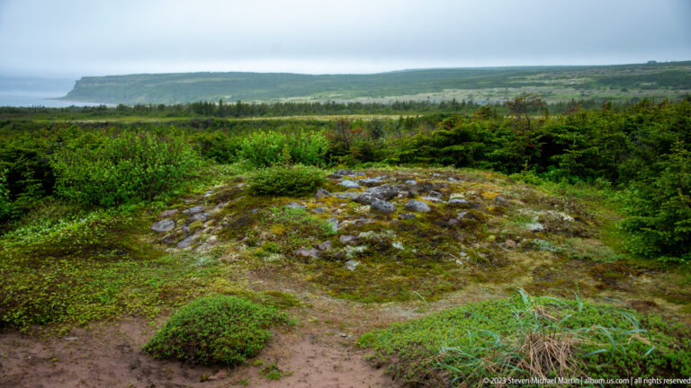 Rocky shrub-covered rise overlooking dense conifer forest, distant water, and low hills beneath gray clouds.