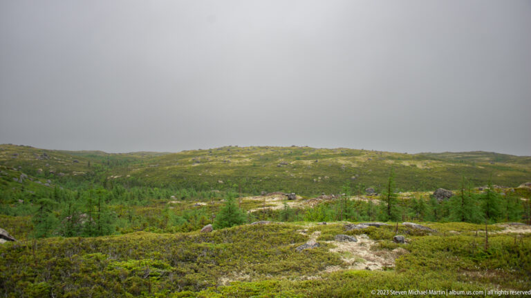 Open rolling upland covered with low shrubs, lichen, grasses, rocks, and scattered small conifers.
