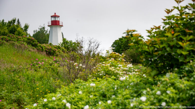 White lighthouse with red lantern room partly visible above flowering shrubs and tall green vegetation.