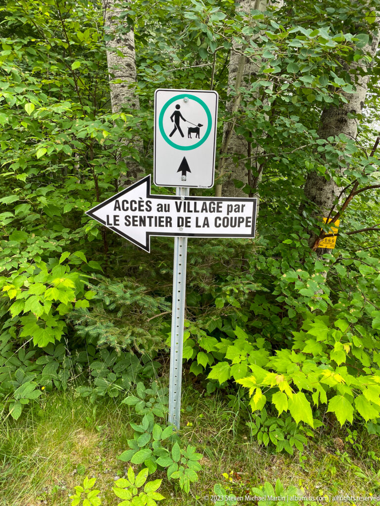 Forest trail sign reading “Accès au village par le Sentier de la Coupe” below a walking-with-dog symbol.