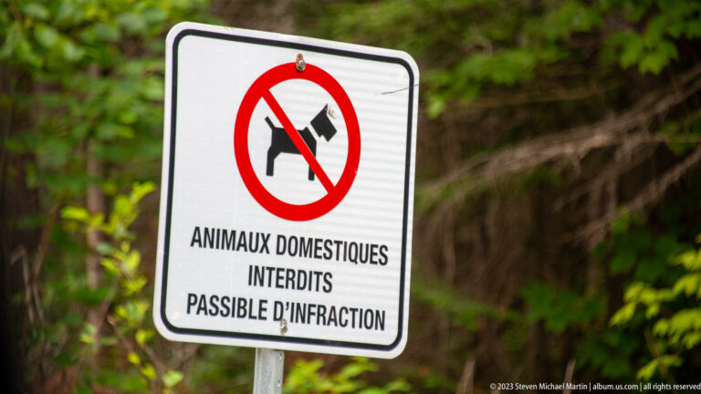 White sign with crossed-out dog symbol and French text prohibiting domestic animals.