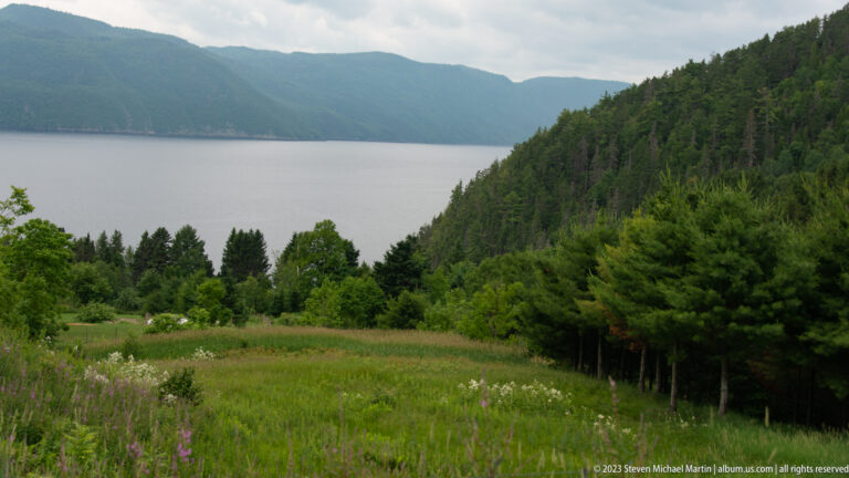 Green meadow descending toward calm fjord water with forested mountain ridges on the far shore.