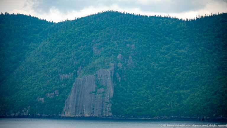 Tall pale-gray cliff descending directly into dark fjord water within a densely forested mountain slope.