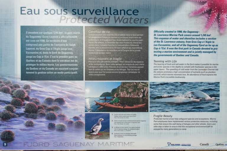 Bilingual “Protected Waters” interpretive panel with sea life, seabird, and marine-mammal photographs.