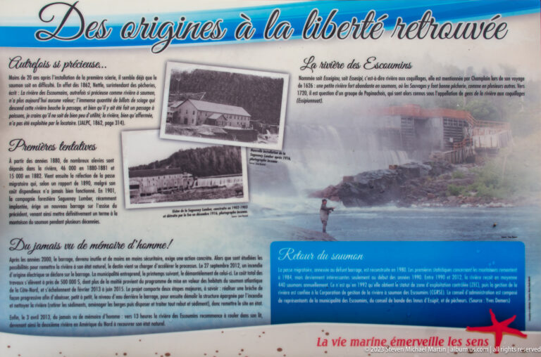 French outdoor panel with archival river photographs and a blue “Retour du saumon” section about salmon recovery.
