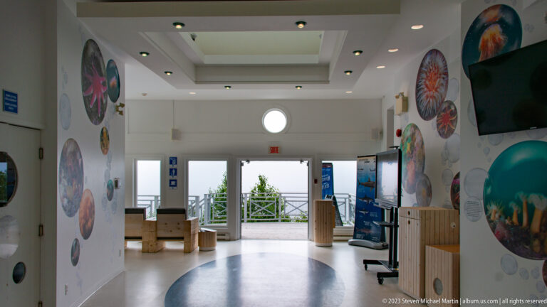 Bright white exhibit hall with circular marine images on the walls, wooden benches, display panels, and doors at the far end.
