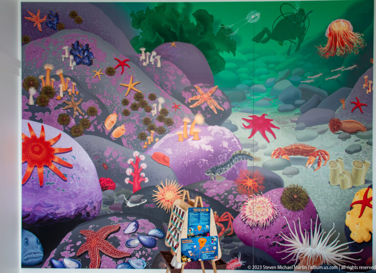 Colorful underwater mural with sea stars, anemones, jellyfish, crustaceans, fish, and two scuba divers.
