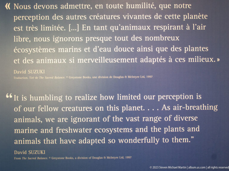 Dark blue bilingual wall panel with a large David Suzuki quotation about marine and freshwater ecosystems.