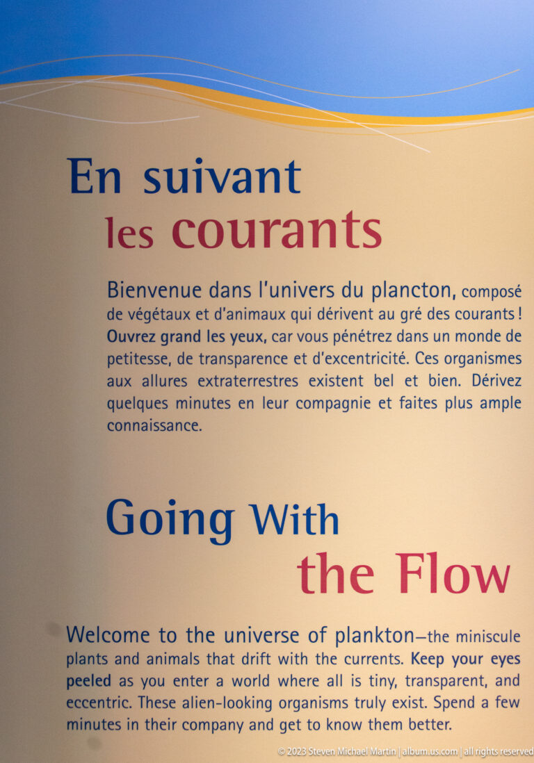 Bilingual cream panel headed “En suivant les courants / Going with the Flow” with explanatory text about plankton.
