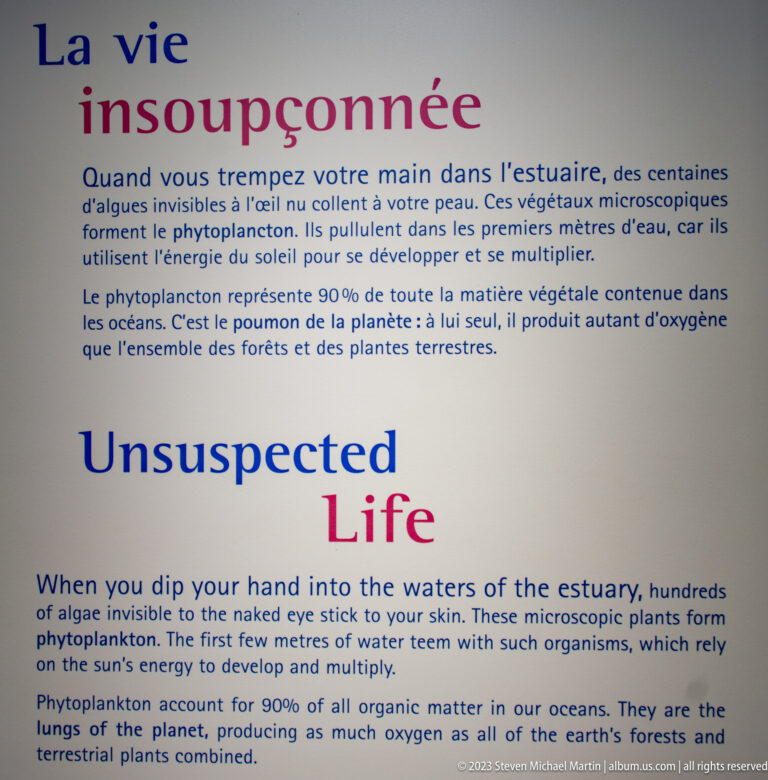 Bilingual panel headed “Vie insoupçonnée / Unexpected Life” with text describing phytoplankton in the estuary.