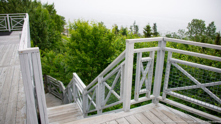 Wooden outdoor stairs with pale railings and wire panels descending through dense green vegetation.