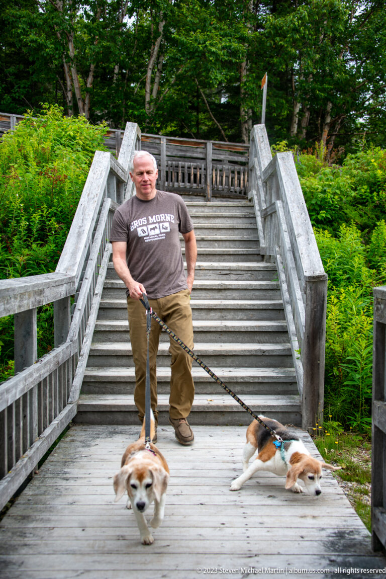 Man standing with two leashed dogs on a wooden landing at the base of broad stairs surrounded by greenery.