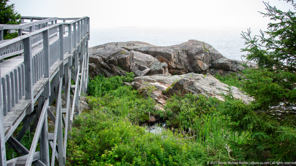 Wooden boardwalk beside low shrubs and exposed gray coastal rocks with water visible in the distance.