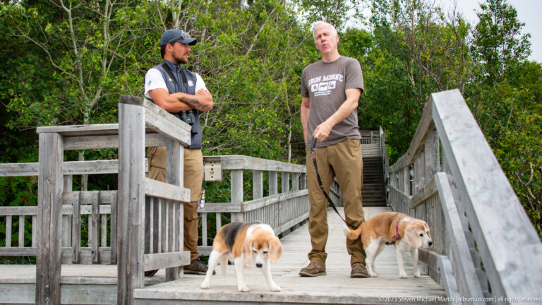 Two men with two leashed beagles standing on a weathered wooden stair surrounded by green shrubs.