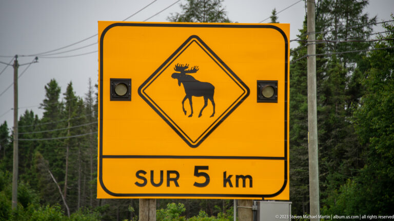 Yellow roadside moose warning sign marked “SUR 5 km,” with forest and utility lines behind it.