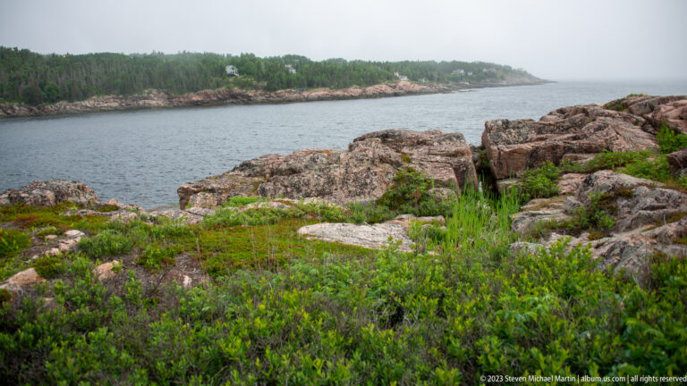 Low coastal shrubs and grasses among rocks beside calm water with a forested shore beyond.