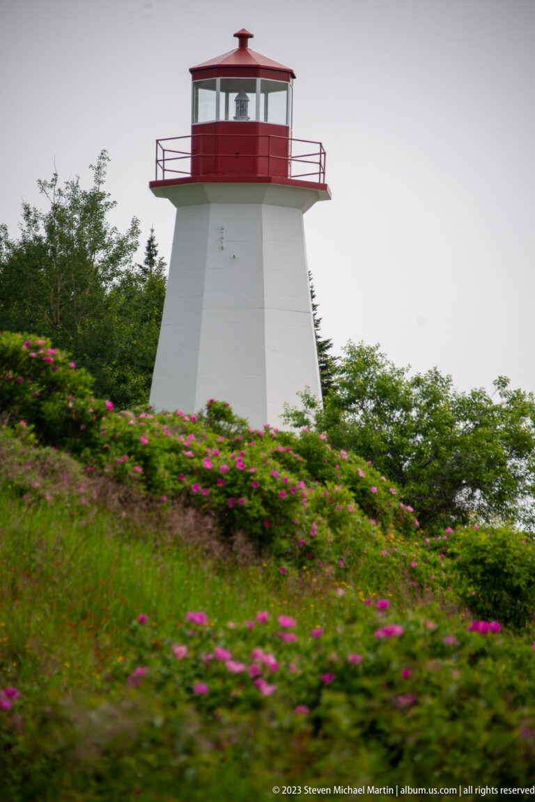 White tapered lighthouse with red lantern room rising above pink flowers and green shrubs.