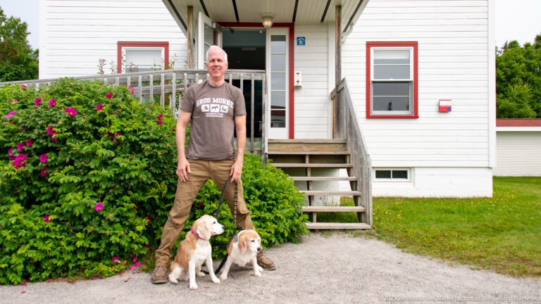 Man standing with two beagles beside a white red-trimmed building and flowering rose shrub.