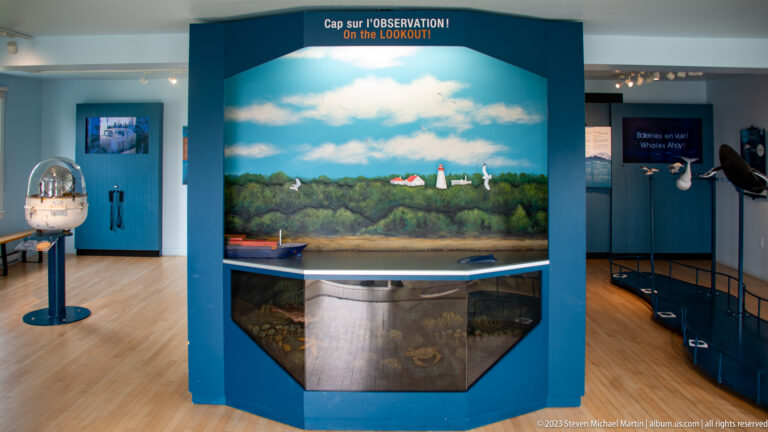 Blue museum gallery display labeled “On the Lookout!” with coastal panorama and nearby wildlife exhibits.