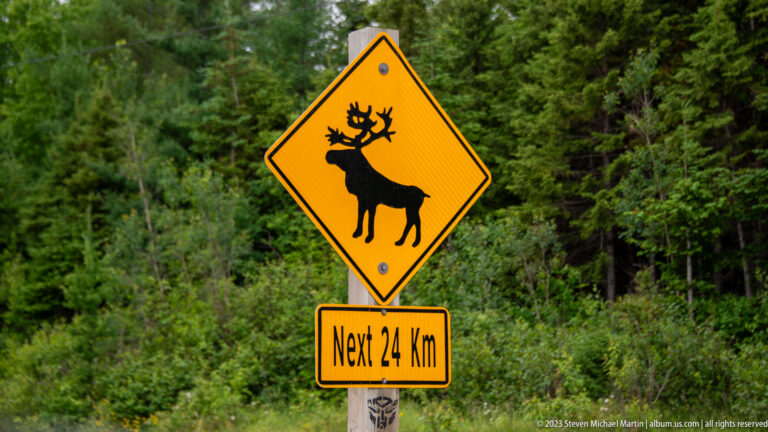 Yellow moose crossing warning sign marked ‘Next 2.4 Km’ beside dense green forest.