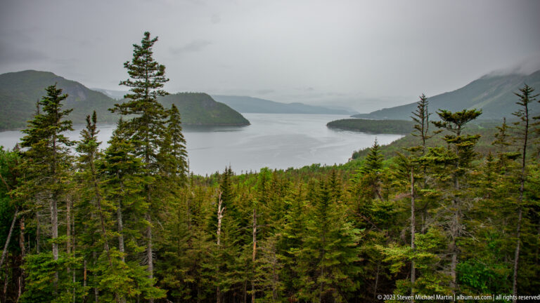Dense conifers overlooking a narrow inlet between steep mountains fading into mist.