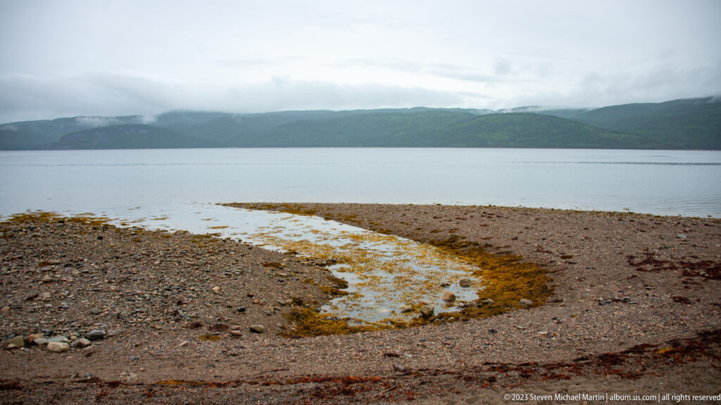 Rocky intertidal shore with brown seaweed beside calm water and a long green ridge under cloud.