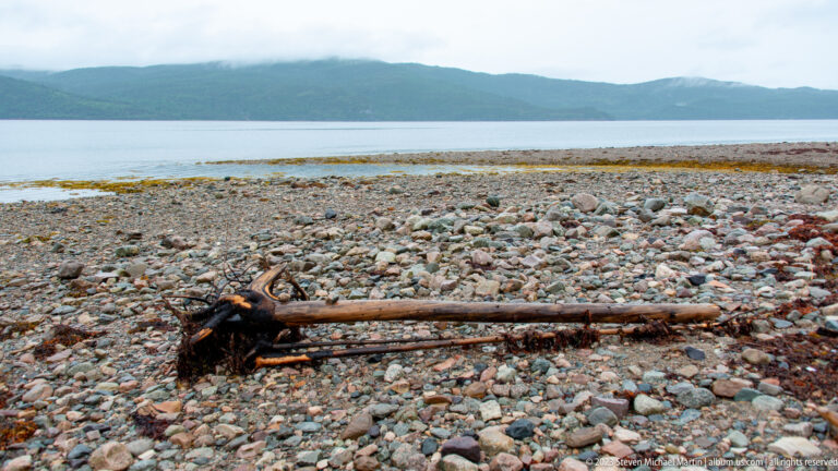Weathered driftwood log on a cobble beach with calm water and forested hills beyond.