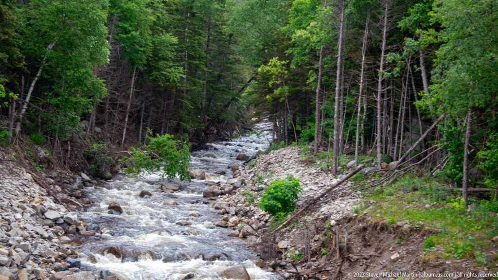 Fast-flowing stream descending through a rocky channel bordered by dense mixed forest and exposed cobbles.