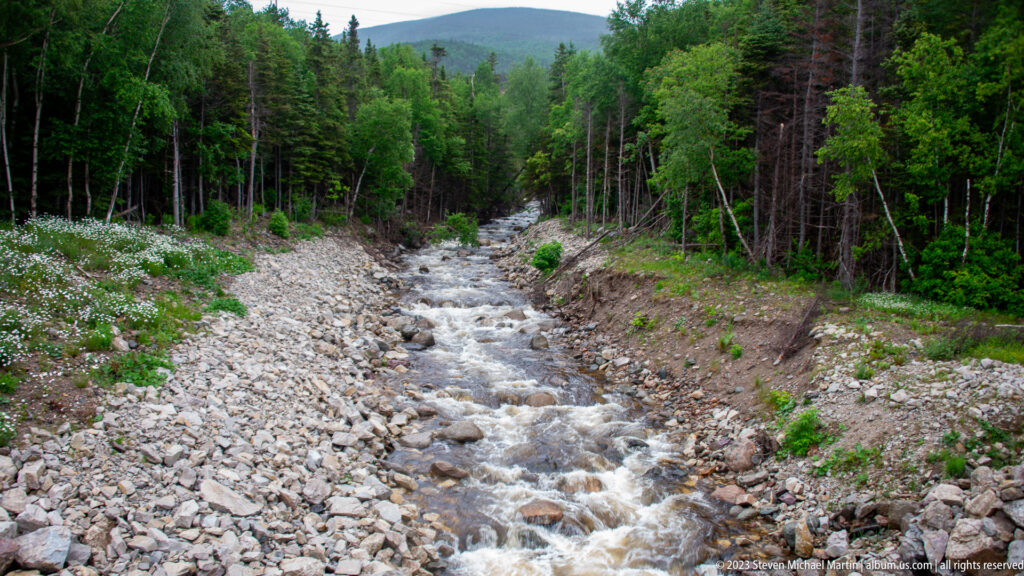 Rocky mountain stream running through a broad cobble bed toward a forested hill under an overcast sky.