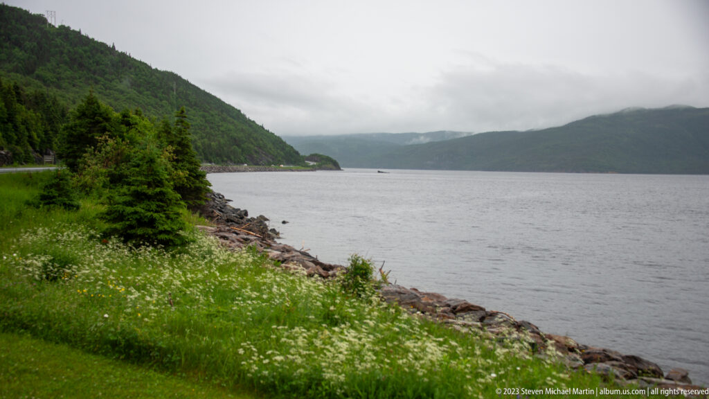 Calm inlet bordered by forested hills, with a grassy wildflower shoreline in the foreground and low clouds beyond.
