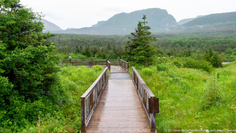 Wooden boardwalk with railings crossing a green meadow toward forested mountains under an overcast sky.