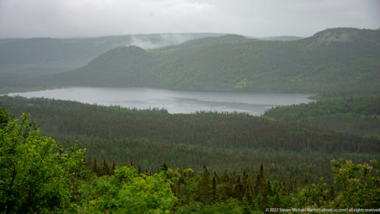 Calm inlet bordered by dense conifer forest and steep green mountains under low cloud.