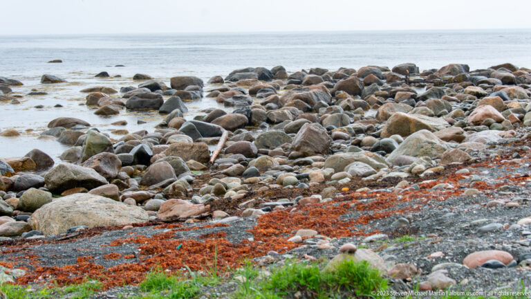 Rounded multicolored cobbles line a gray shore, with a reddish band of stranded seaweed along the upper beach.