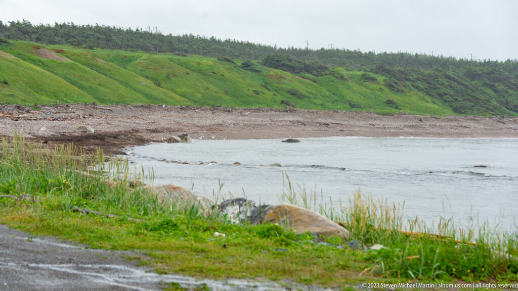 Calm rocky cove below a steep green hillside with driftwood, stones, and a forested ridge.