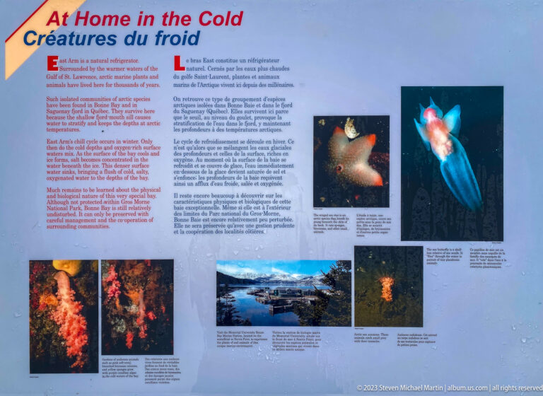 Bilingual cold-water marine-life panel with photographs of colorful invertebrates, fish, and coastal habitat.