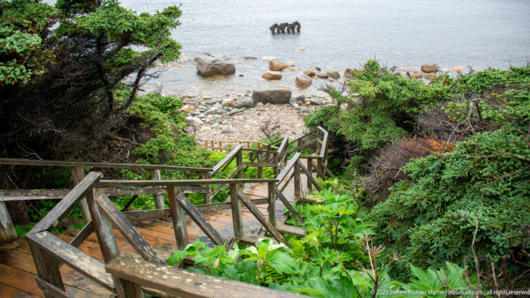 Weathered wooden stairs with railings descend through dense greenery to a cobble shore and shallow gray water.
