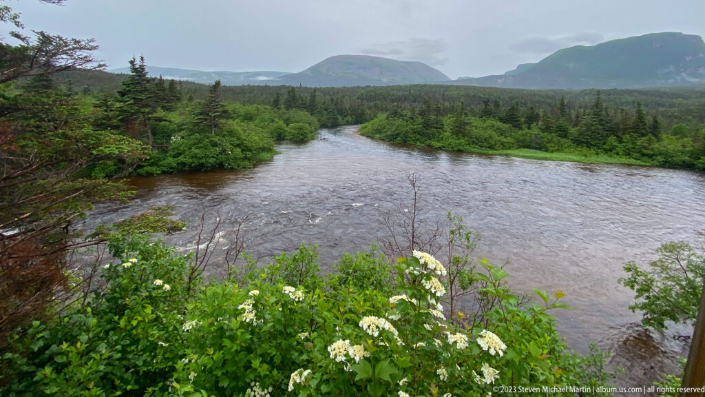 Broad river curving through dense green forest with white flowers in front and low cloudy mountains beyond.