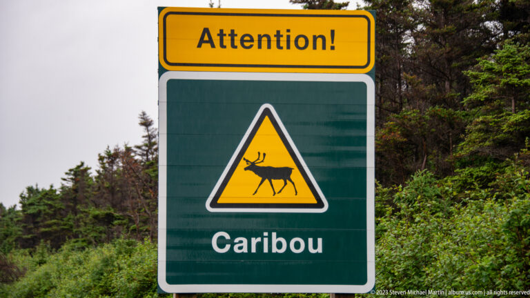 Green roadside sign reading “Attention! Caribou” with a yellow warning triangle and black caribou silhouette.