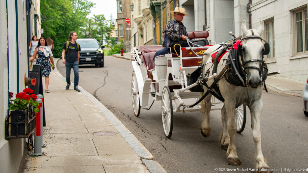 White horse pulling an open carriage with seated driver along a narrow street as pedestrians walk nearby.