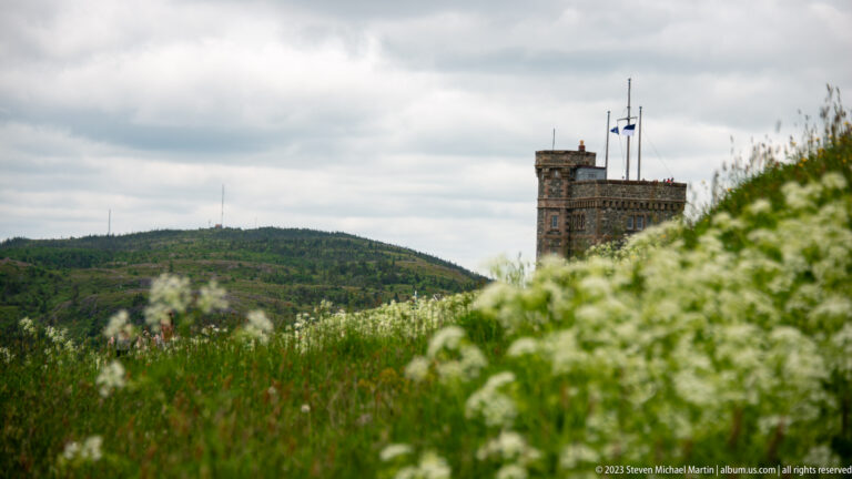 Cabot Tower rises partly hidden behind a dense foreground of white wildflowers and green grass on Signal Hill.