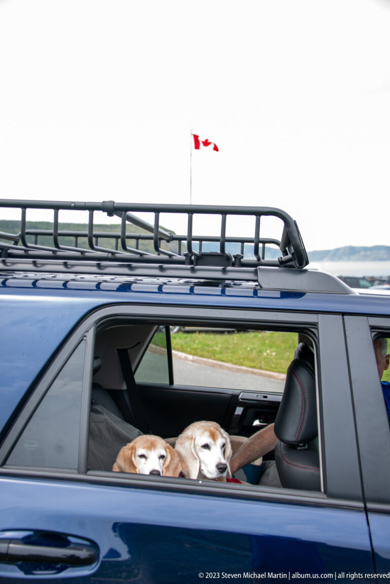 Two dogs rest their heads together at the open rear window of a dark blue SUV, with a Canadian flag beyond.