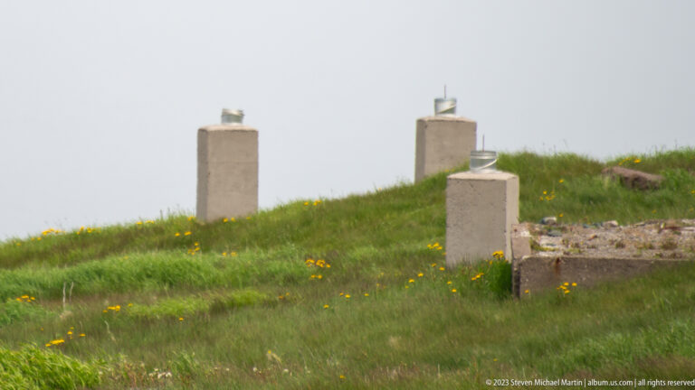 Weathered concrete posts and low foundation remnants with metal fittings among grass and yellow wildflowers at Cape Spear.