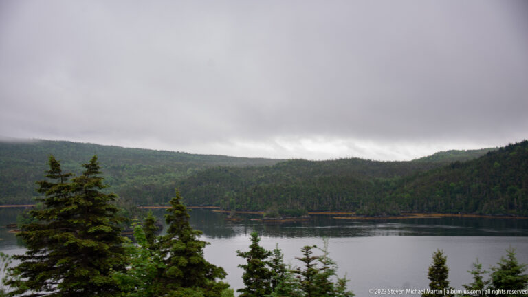 Evergreen trees overlook calm water and forested hills beneath a low gray sky in Newfoundland and Labrador.